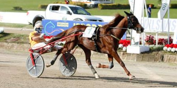 Vernissage, rotta su Ostersund