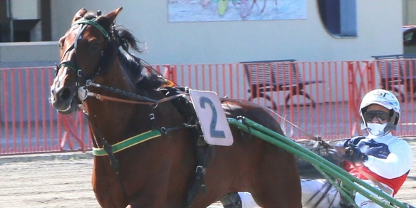 Non solo Zacon Gio a Padova