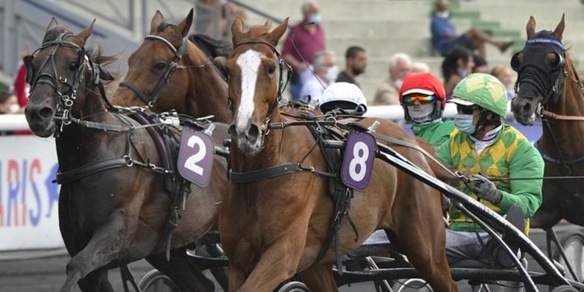 Anche Violetto Jet nel Balliere