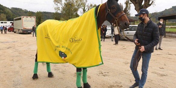 FTB non andrà in Finlandia