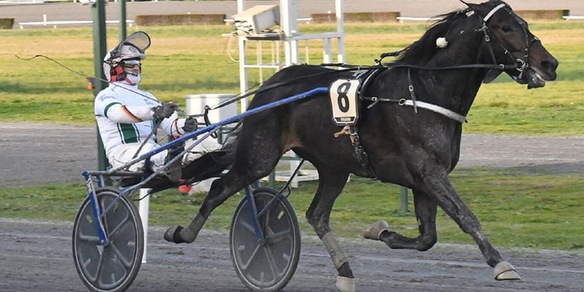 Zacon e Alrajah vedono il punto