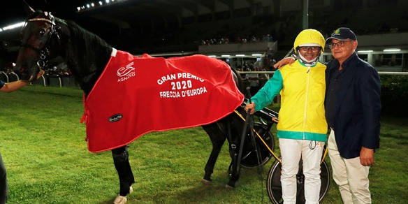 Vivid Wise As con Abrivard