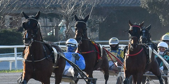 Strade diverse per i 3 anni