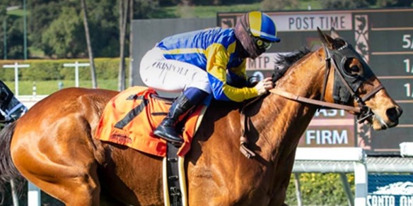 Rispoli, ottanta con stakes