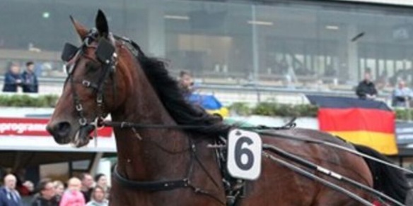 Zarenne Fas all'Aby Stora Pris