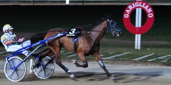 Calenita la mette giù dura