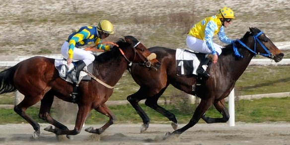 Troppo caldo? Le regole Mipaaf