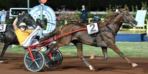 Rieccoli, un anno dopo