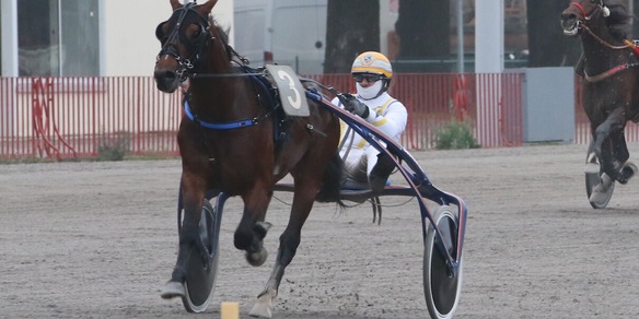 Occasione per Bonjovi Mmg