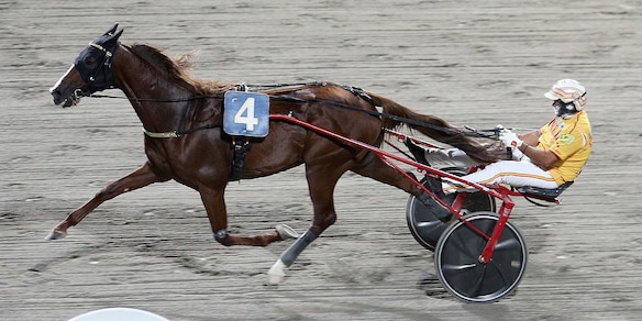 Vernissage Grif con l'8 e il 5