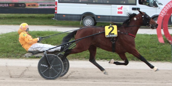 Il congedo dei Gocciadoro