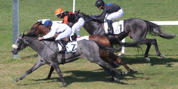 Novità sul binario Milano-Roma
