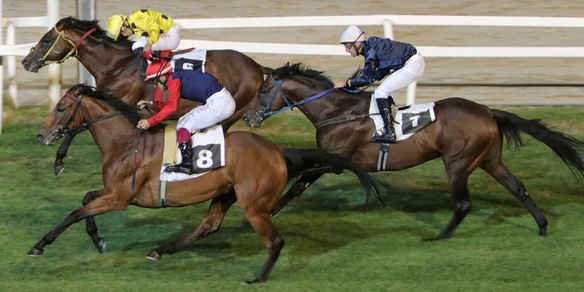 A Varese le giornate di Milano