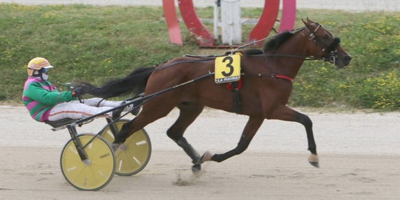 Per il Cobra arriva Gelormini