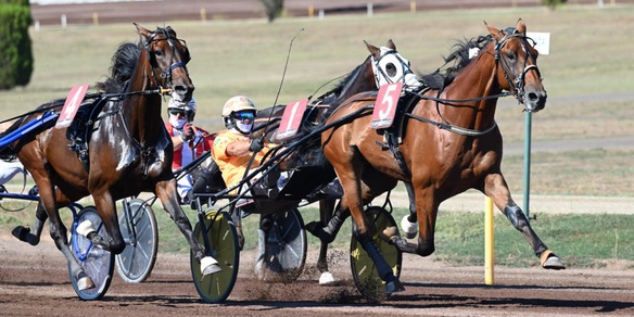 Derby, batterie "live”