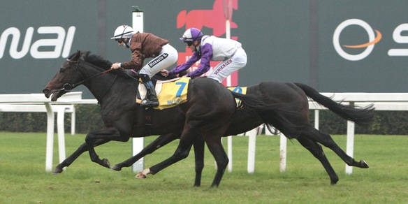 Milano, molto ottobre a Varese