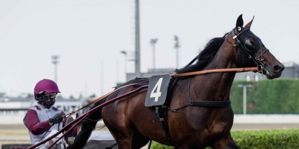 Imbattuti in passerella