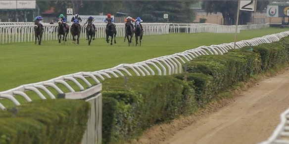 Dettori a Roma da... tedesco