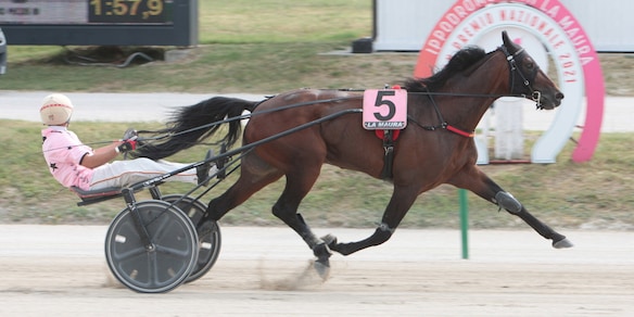 Un GP Global a Pontecagnano