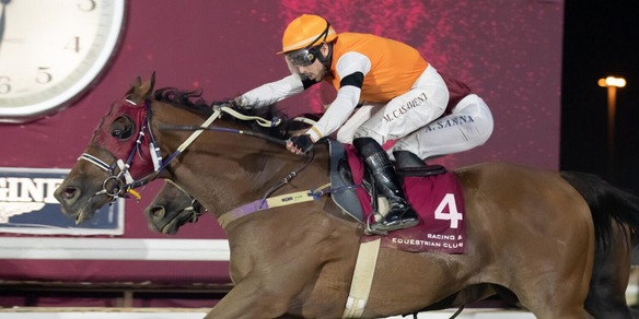 Casamento subito da 10 e lode