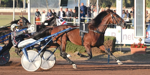 Charmant de Zack ci riprova