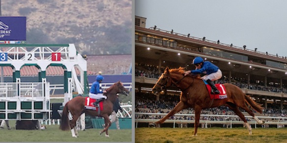 BC: Juvenile Turf surreale