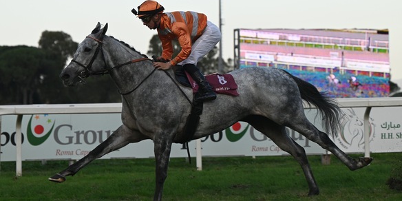 Skalleti a spasso nel Roma