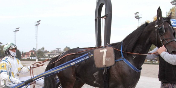 Oggi il GP Anact a Roma