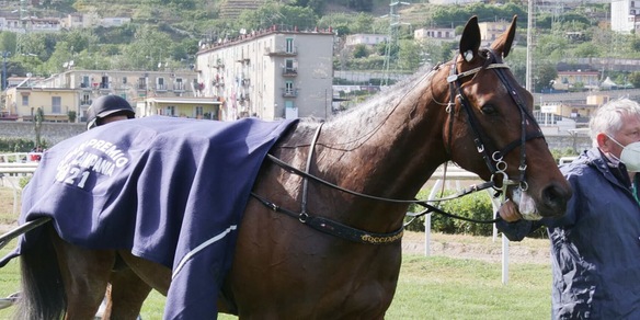 Bengurion Jet si prenota