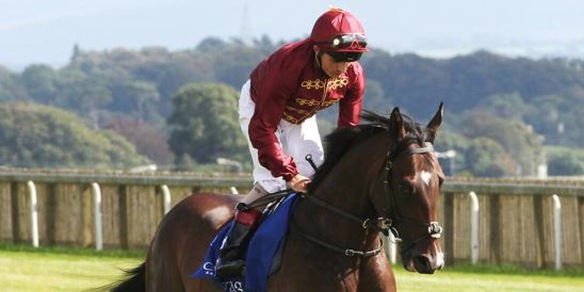 Berardenga, altra new entry