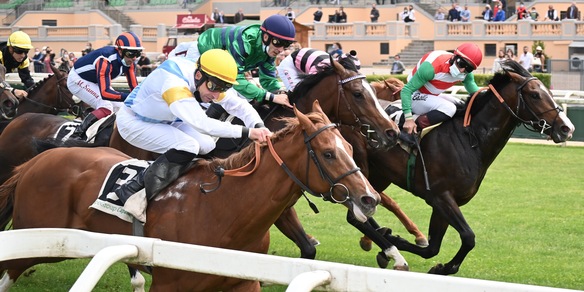 Cirano diventa... Ciranò