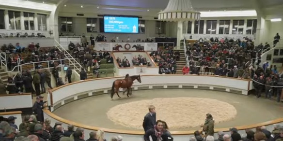 Godolphin, la carica delle 101