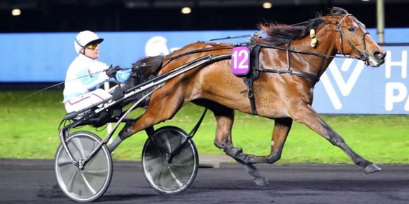 Ampia Mede Sm inarrestabile