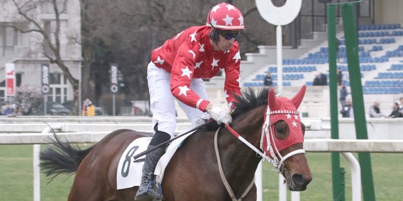 Alla scoperta della Francia