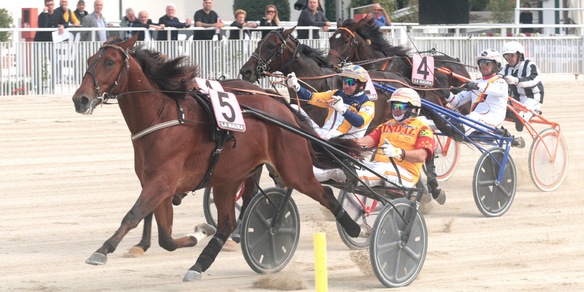 Avanposto giallo a Grosbois