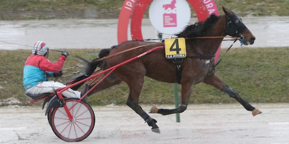 Una Coppa piccola piccola