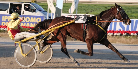 Un Royal Mares stile B&B