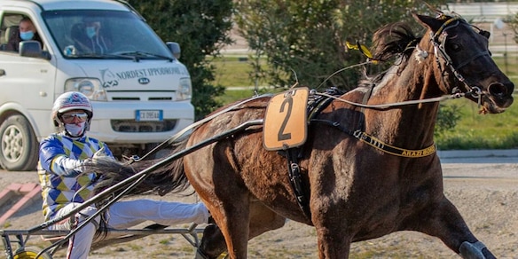 Circolari e polemiche al trotto