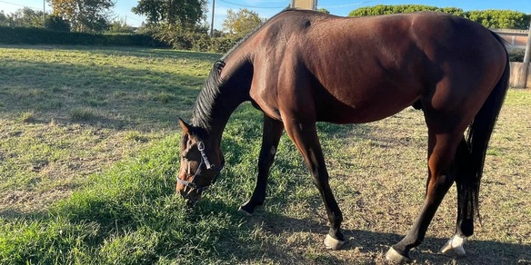 Una petizione contro il Mipaaf