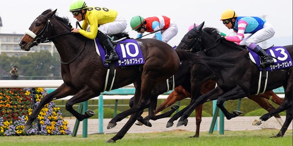 Demuro, fratelli vincenti