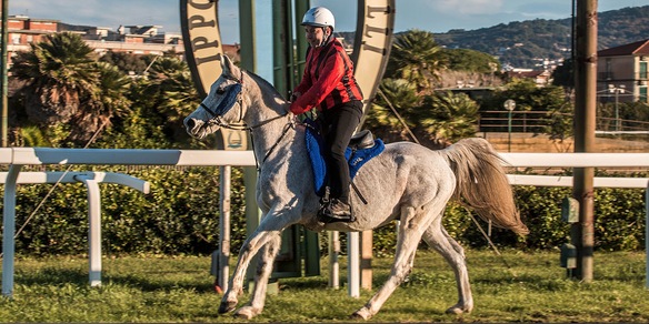 Fumi, missione compiuta