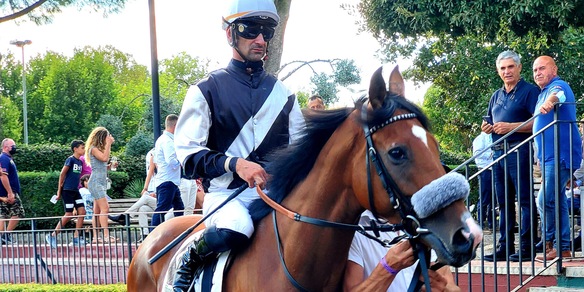 Flamingo Girl in crisi di identità