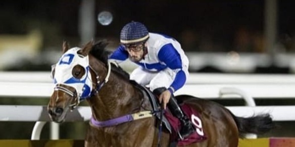 Qatar, un Derby Casamento