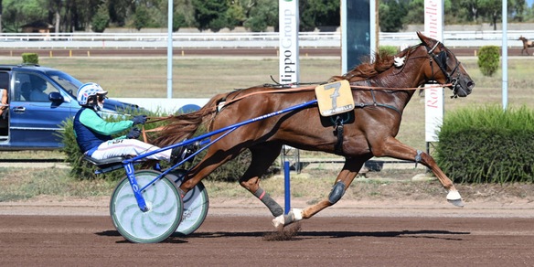 Oaks, batterie "live"