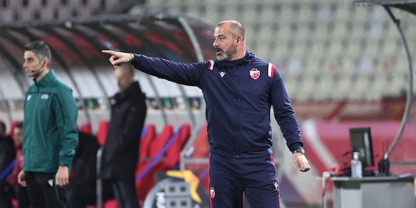 Stella Rossa-Maccabi Haifa, il pronostico del match