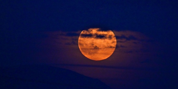 Clamoroso, scoperta un'altra Terra: ecco dove si trova