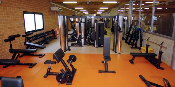 Riforma dello Sport, rinvio all’1 luglio. Duregon (n.1 ANIF): “Ci dispiace ma capiamo”