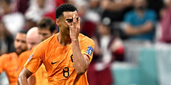 Liverpool, ufficiale l'accordo con il Psv per Gakpo: ha già scelto il numero di maglia