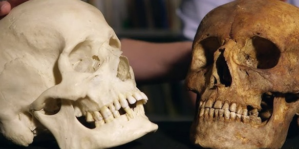 Gli scienziati hanno scoperto una nuova specie umana: può cambiare tutto