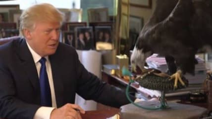 Trump in posa con l'aquila ma lei lo attacca